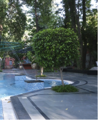 Swimming Pool 3