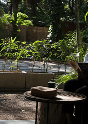 Zen Garden